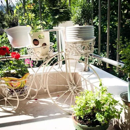 Cozy With Balcony *