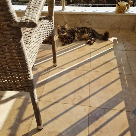 Cozy With Balcony * Σόφια