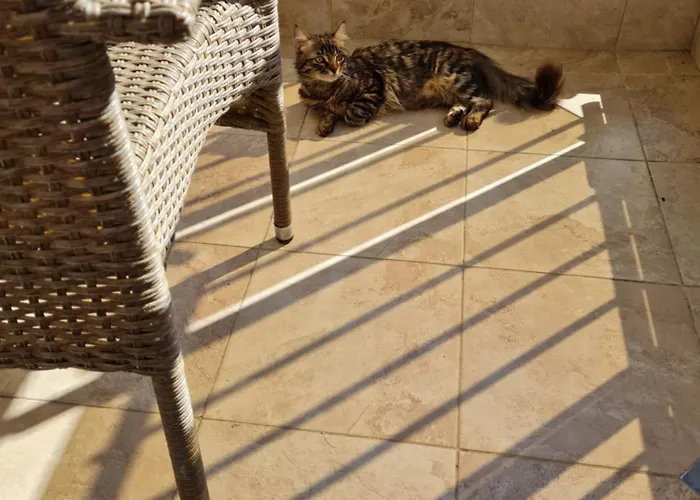 Cozy With Balcony * София